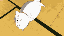 32ABB498-227F-400D-AB1F-06A872F4B2FF.gif