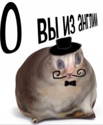 4DFCABC8-0FC9-4443-AF06-533FFC4446EB.jpeg