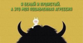 -mCfKfP2dGE.jpg