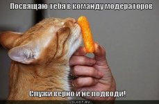 images (4).jpeg