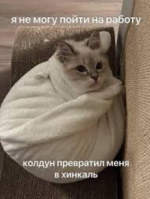 1769250067878.png 1769250067878.png