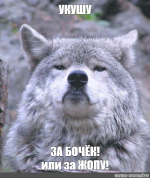 1769252787308.png
