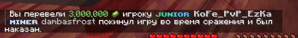 гарант 2.jpg