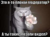 1772191535426.png