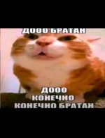 Screenshot_20260226-231728~2.jpg