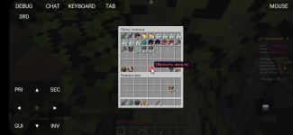 Screenshot_20260924_163423_PojavLauncher (Minecraft Java Edition for Android).jpg