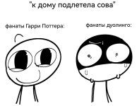 1000036320.jpg 1000036320.jpg