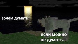 1000036808.jpg