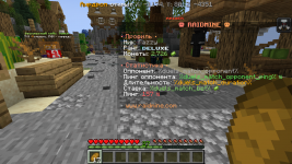 Minecraft_ 1.19.2 - Сетевая игра (сторонний сервер) 05.12.2022 11_14_09.png