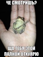CTPGK7MXIAAGL8D.jpg CTPGK7MXIAAGL8D.jpg