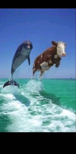 ssstik.io_1730644101311.jpeg ssstik.io_1730644101311.jpeg