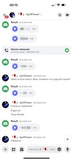 Изображение WhatsApp 2025-04-08 в 00.25.49_f5c88536.jpg