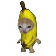 human_bestcl