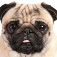 Vaip_class