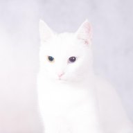 Sasha789