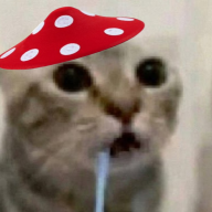Tank_mushroom