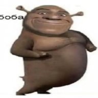 NEILIGATOR