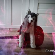 Goodog2013