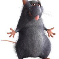 Hamsterl