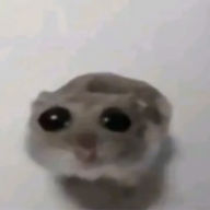 padiloi1337