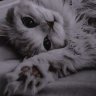 ItzOzziHD