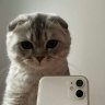 Mitya_miner_YT