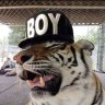 kloutper