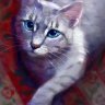 TIKETCAT