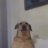 Otrishka228