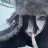 DeadDreamSs_